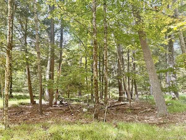 2 Acres of Land for Sale in Cuddebackville, New York
