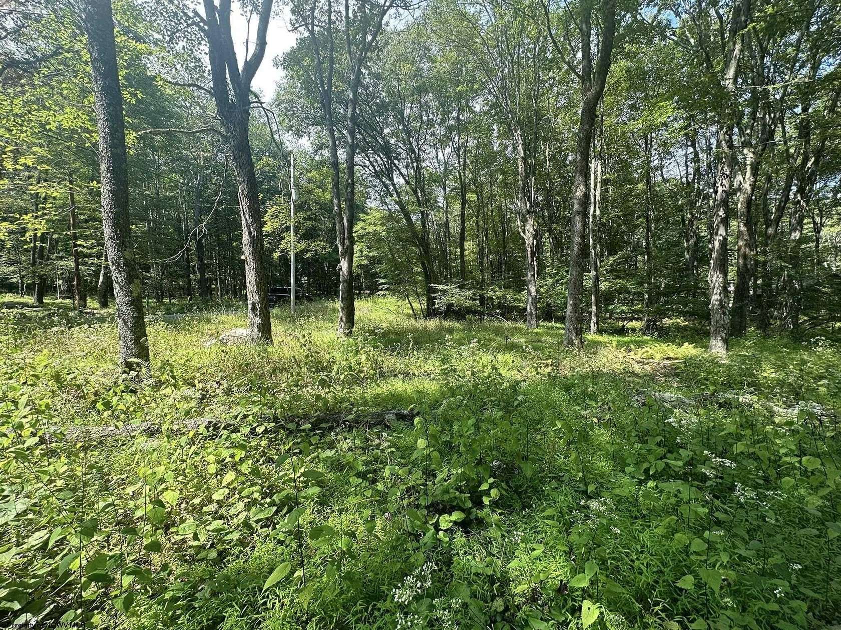 0.34 Acres of Residential Land for Sale in Terra Alta, West Virginia
