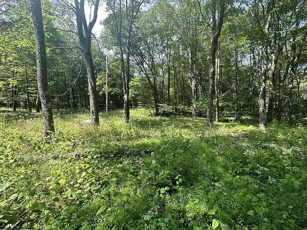 0.34 Acres of Residential Land for Sale in Terra Alta, West Virginia