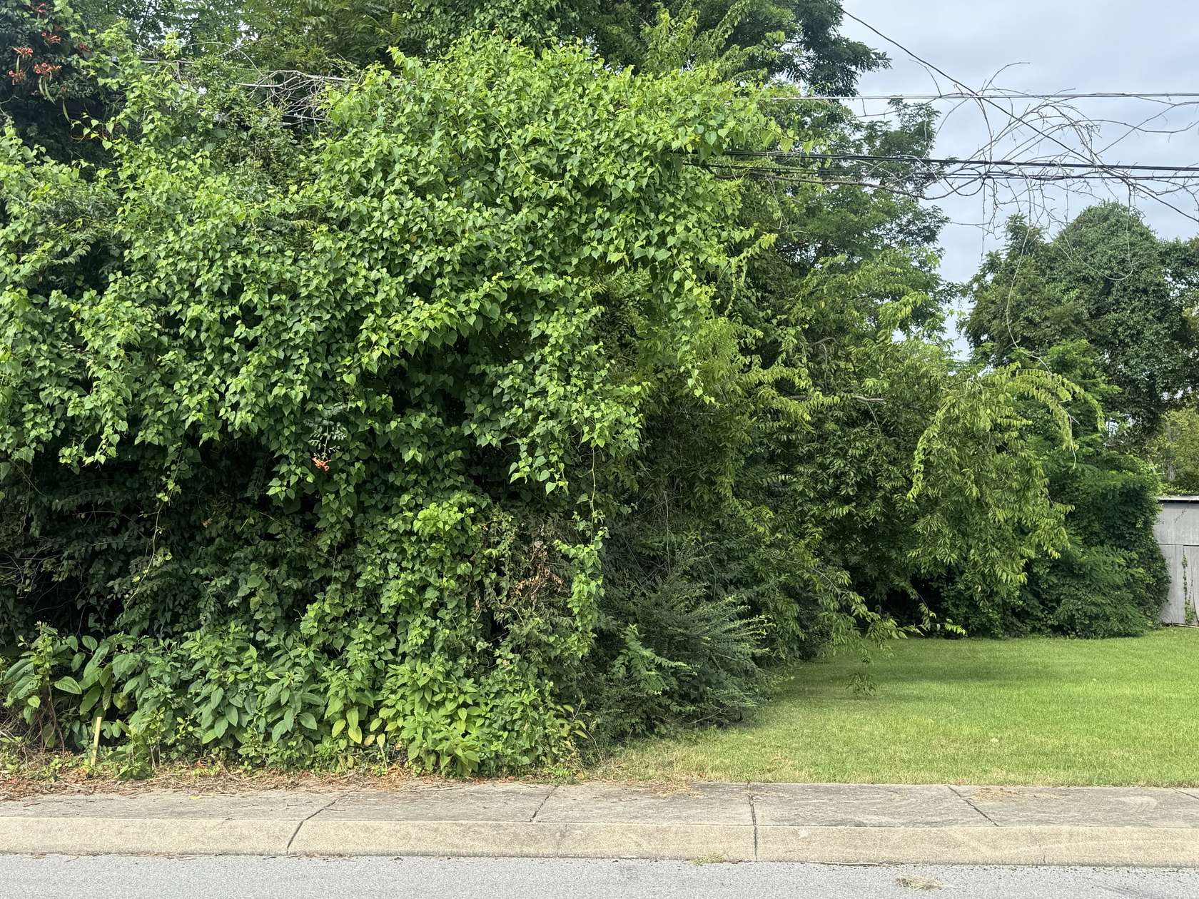 Residential Land for Sale in Gallatin, Tennessee