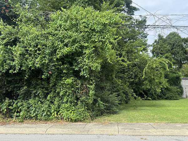 Residential Land for Sale in Gallatin, Tennessee