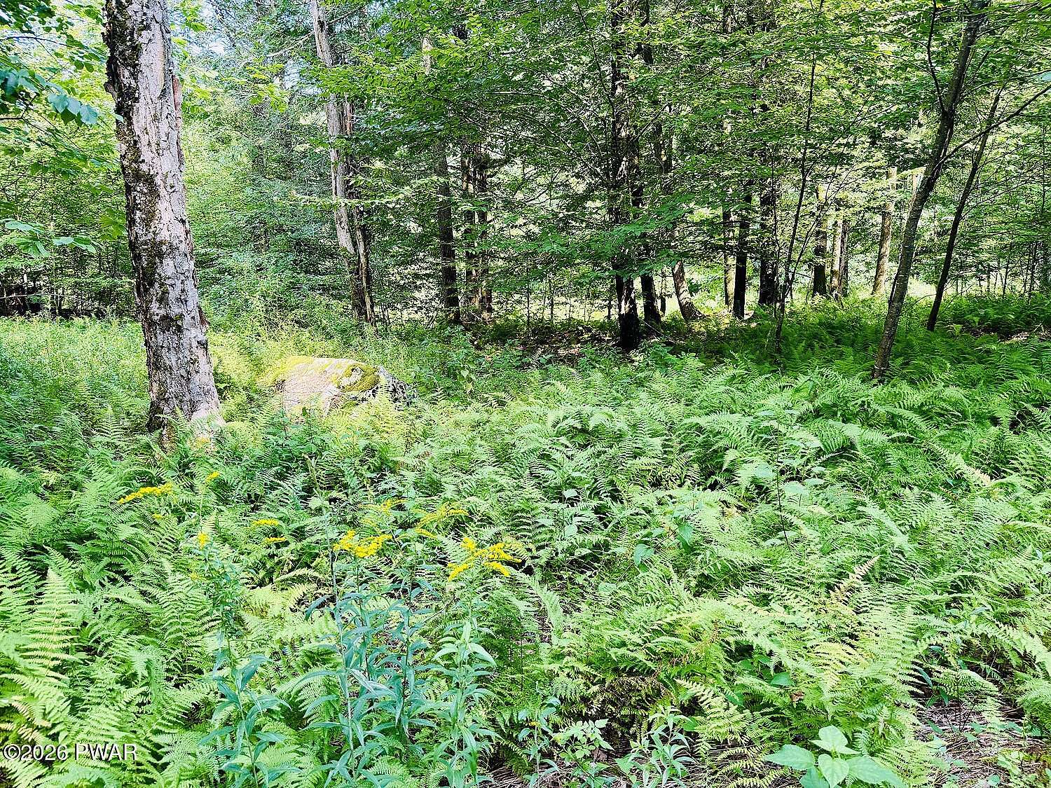 28 Acres of Recreational & Residential Land for Sale in Damascus, Pennsylvania