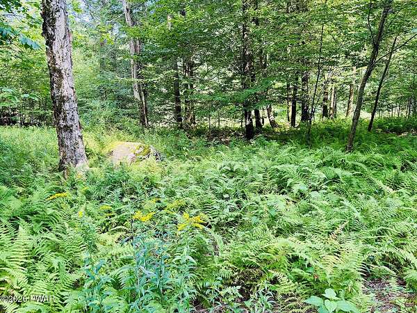 28 Acres of Recreational & Residential Land for Sale in Damascus, Pennsylvania