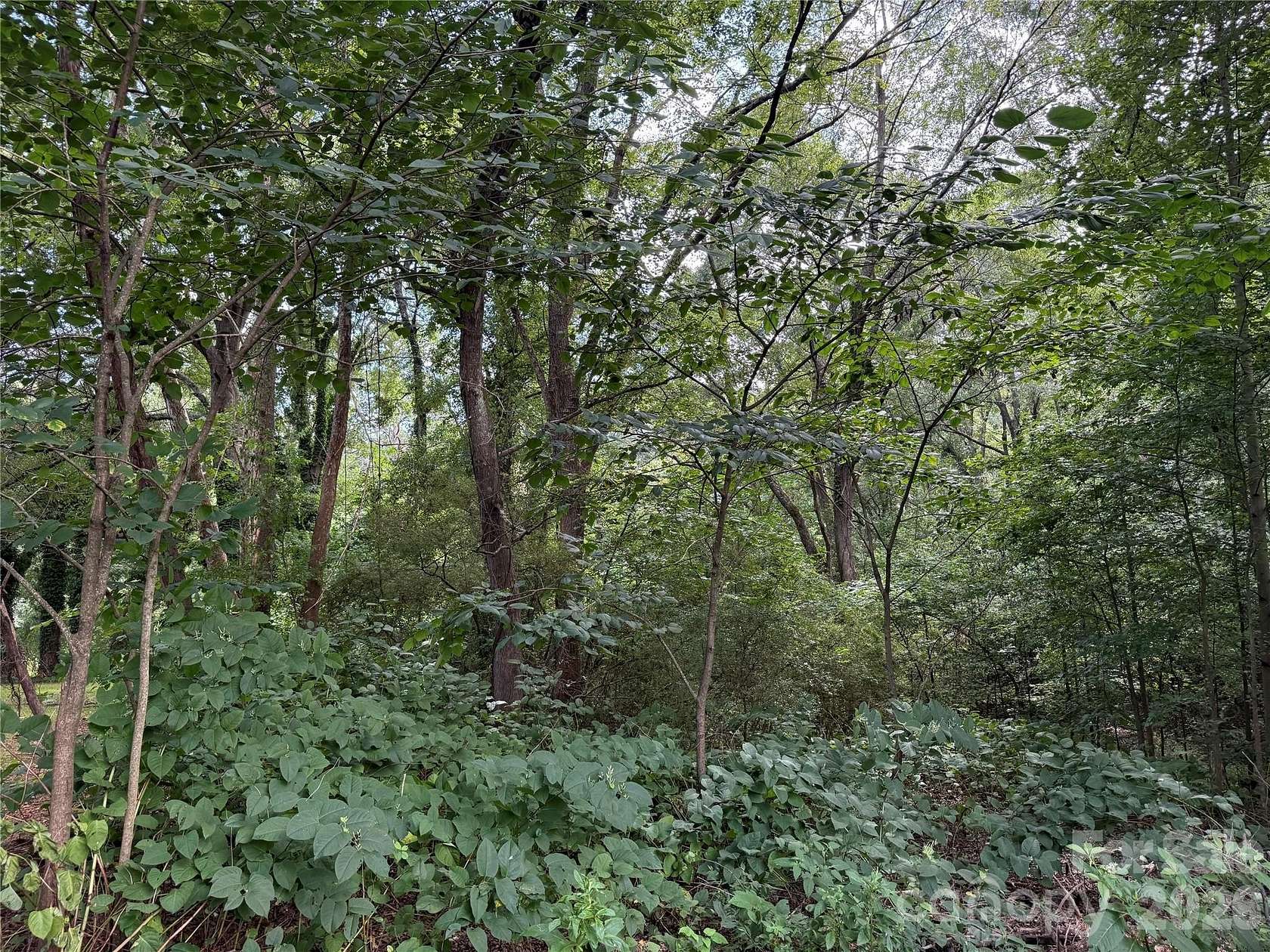 13.3 Acres of Recreational & Residential Land for Sale in Lincolnton, North Carolina