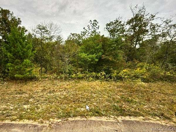 0.5 Acres of Residential Land for Sale in Chipley, Florida