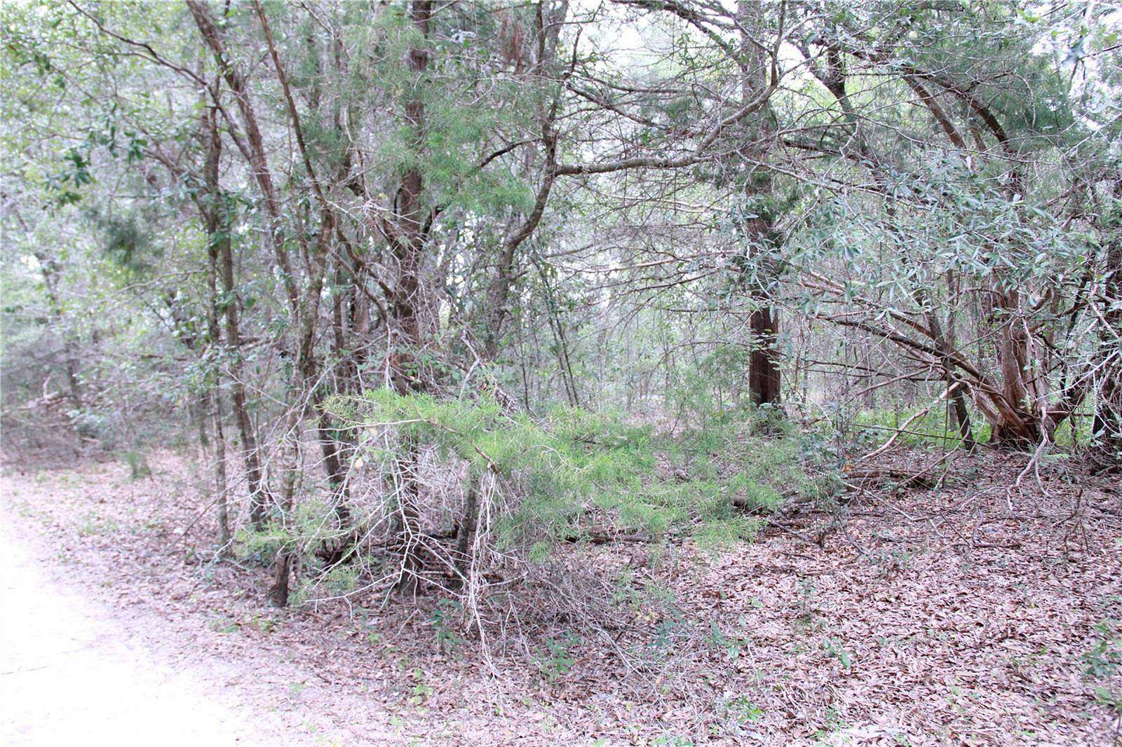 0.24 Acres of Residential Land for Sale in Ocala, Florida