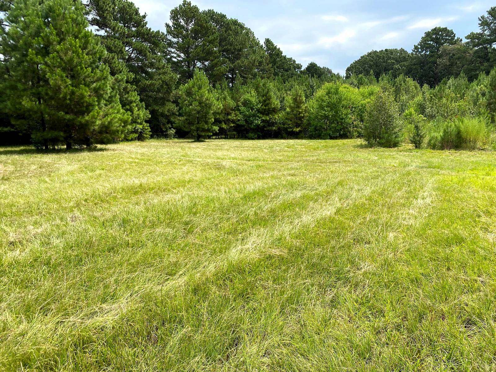 6 Acres of Residential Land for Sale in Ashdown, Arkansas
