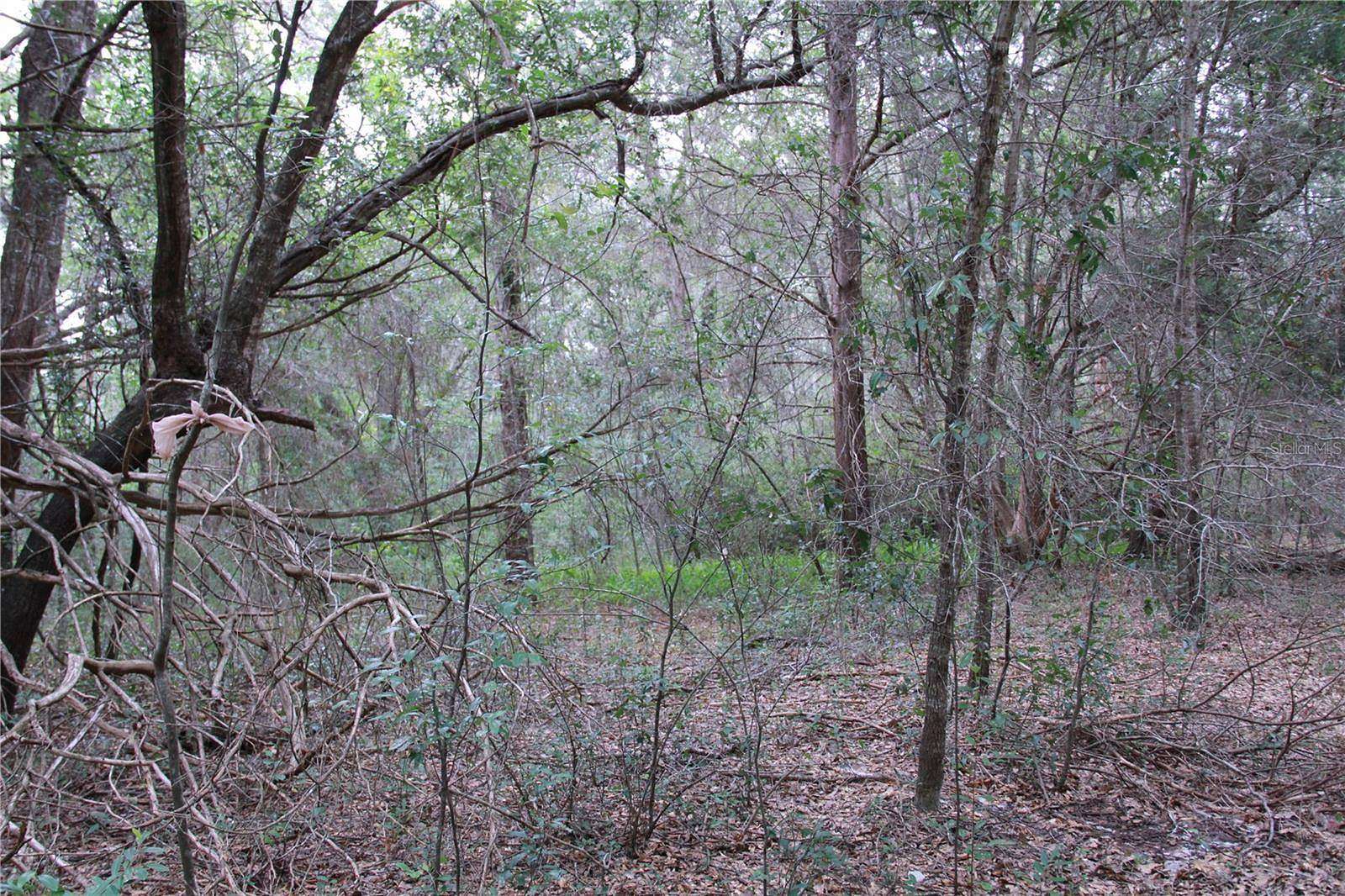 0.24 Acres of Residential Land for Sale in Ocala, Florida