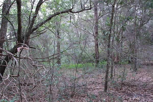 0.24 Acres of Residential Land for Sale in Ocala, Florida