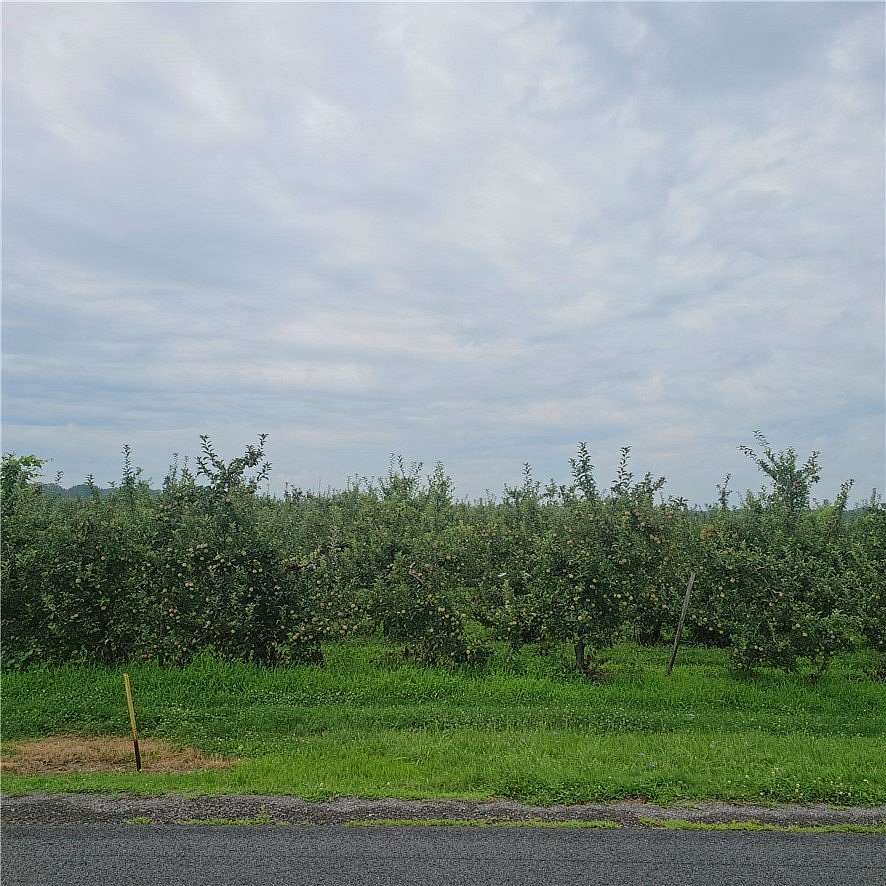 1 Acre of Residential Land for Sale in Albion, New York