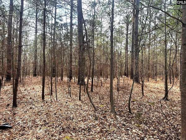 11.8 Acres of Land for Sale in Little Mountain, South Carolina