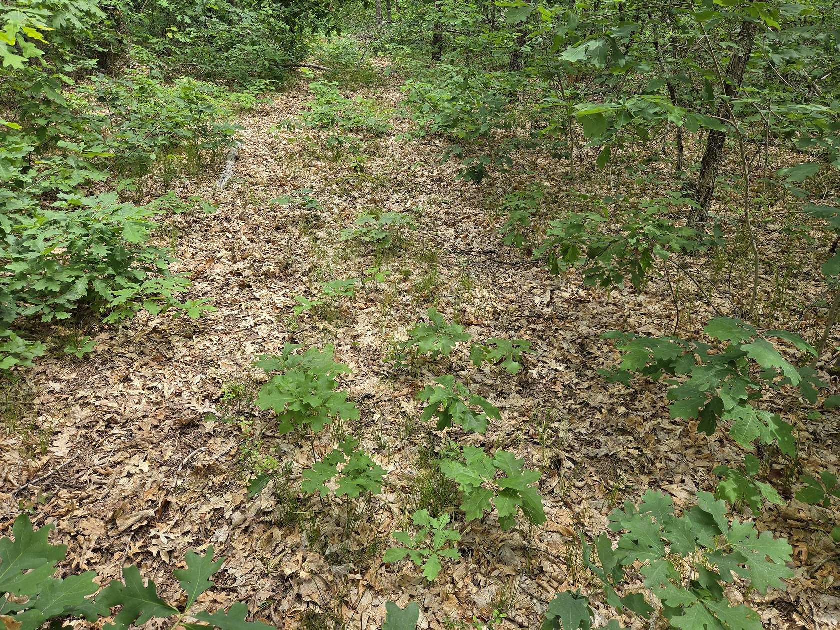 0.28 Acres of Land for Sale in Baldwin, Michigan