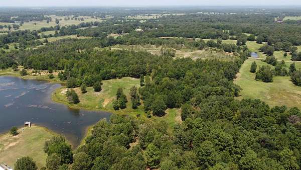 37.6 Acres of Recreational & Residential Land for Sale in Omaha, Texas
