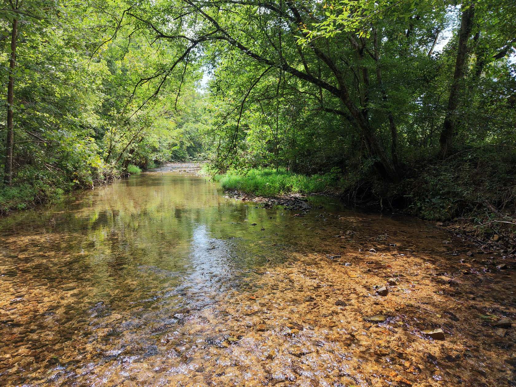 23.9 Acres of Land for Sale in Waynesboro, Tennessee