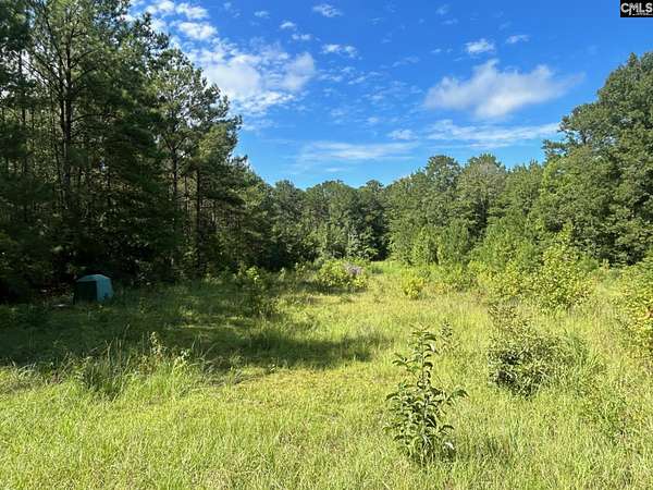 2.67 Acres of Land for Sale in Little Mountain, South Carolina