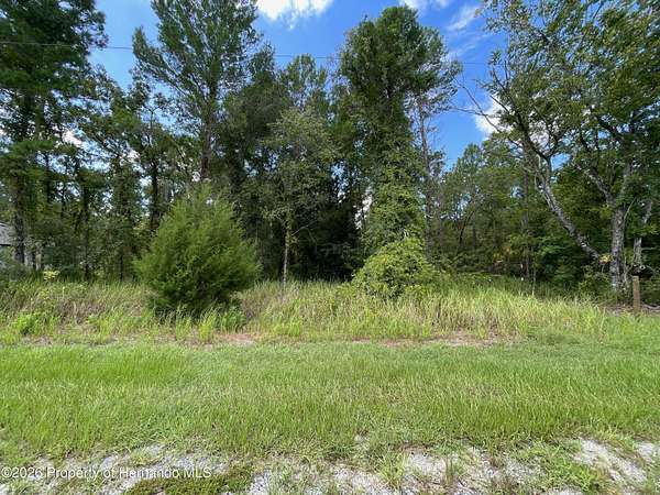 0.5 Acres of Residential Land for Sale in Weeki Wachee, Florida