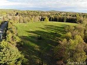 22.8 Acres of Land for Sale in Monticello, New York