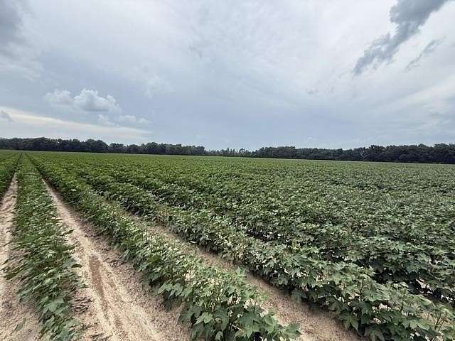 336 Acres of Agricultural Land for Sale in Millington, Tennessee