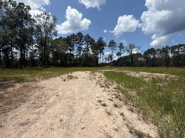 27 Acres of Recreational & Residential Land for Sale in Kountze, Texas