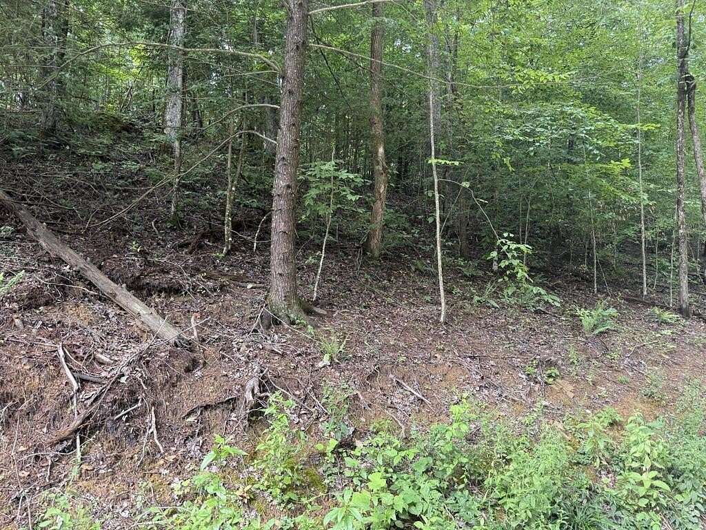 0.5 Acres of Land for Sale in Campton, Kentucky