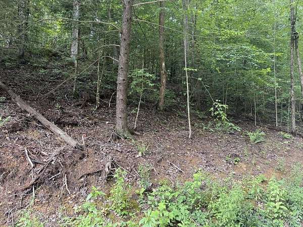0.5 Acres of Land for Sale in Campton, Kentucky