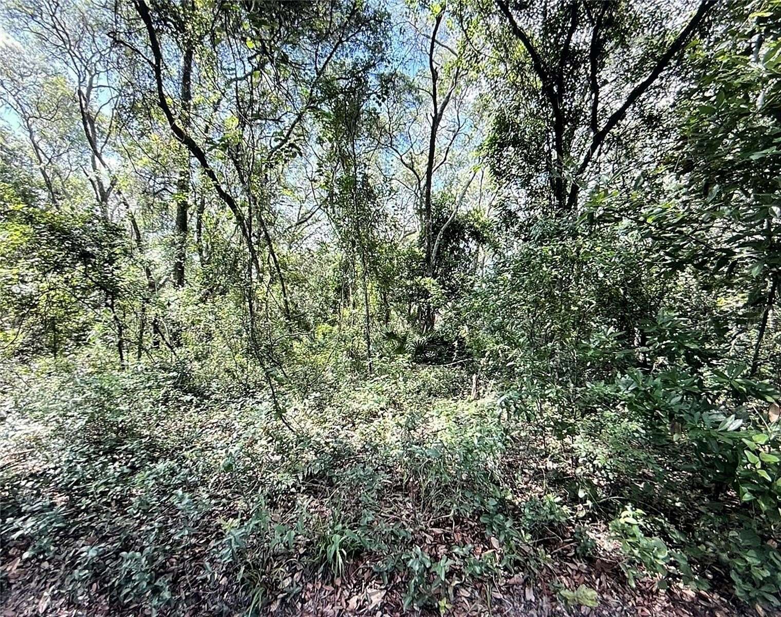 0.62 Acres of Residential Land for Sale in Dunnellon, Florida