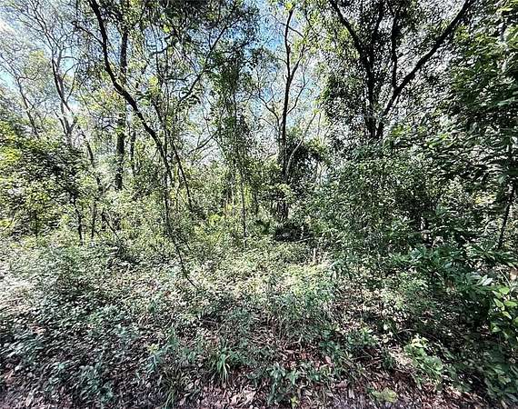 0.62 Acres of Residential Land for Sale in Dunnellon, Florida