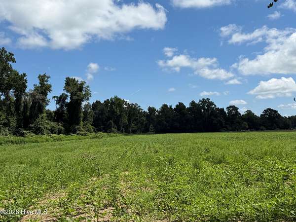 19.6 Acres of Recreational & Residential Land for Sale in Evergreen, North Carolina