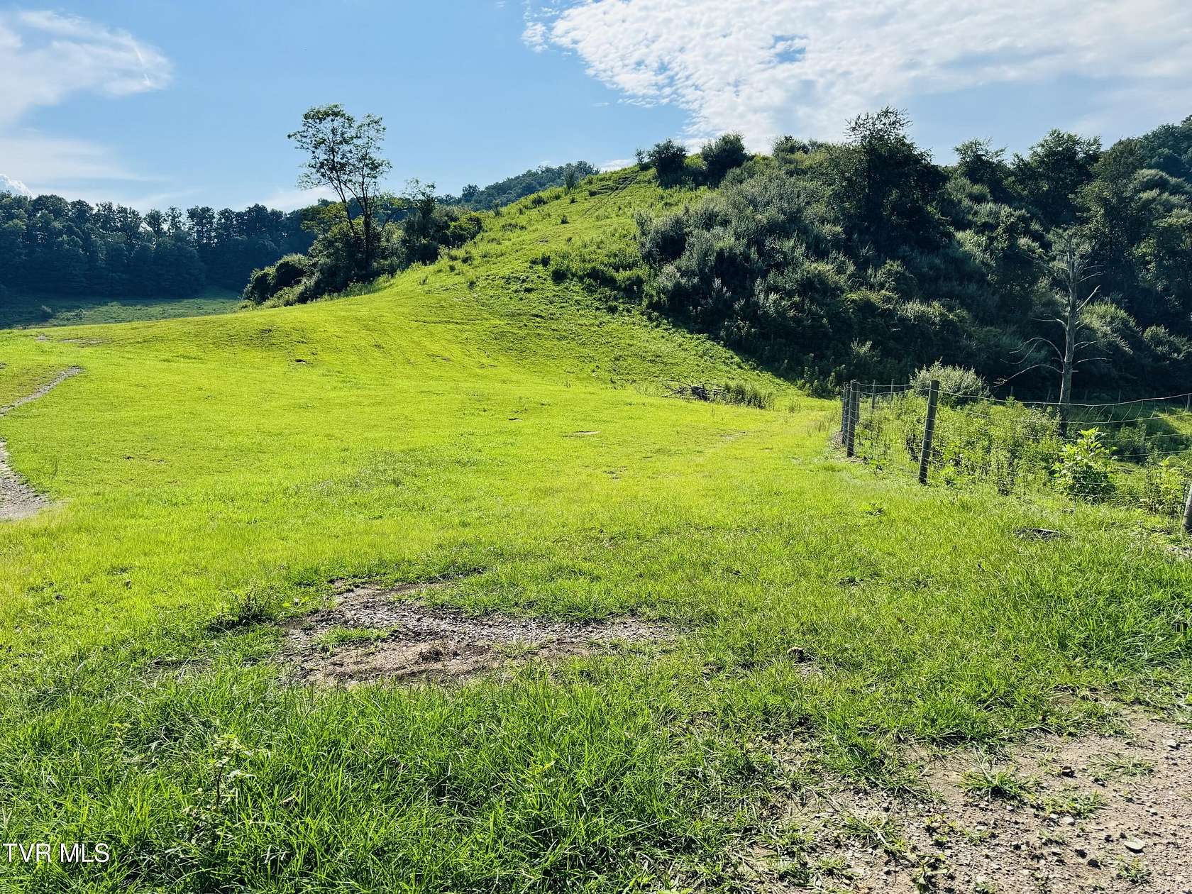 13.7 Acres of Land for Sale in Clintwood, Virginia
