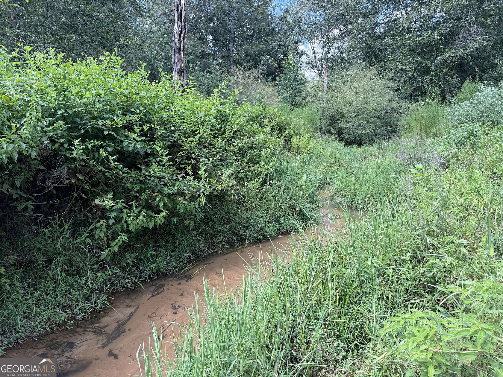 21.5 Acres of Land for Sale in Danielsville, Georgia