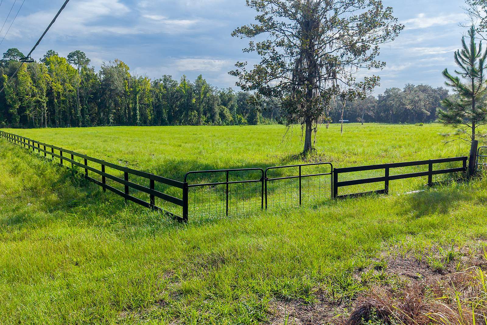 6.29 Acres of Land for Sale in Hawthorne, Florida
