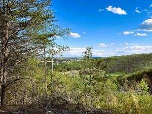 38.5 Acres of Recreational Land for Sale in McDonald, Tennessee