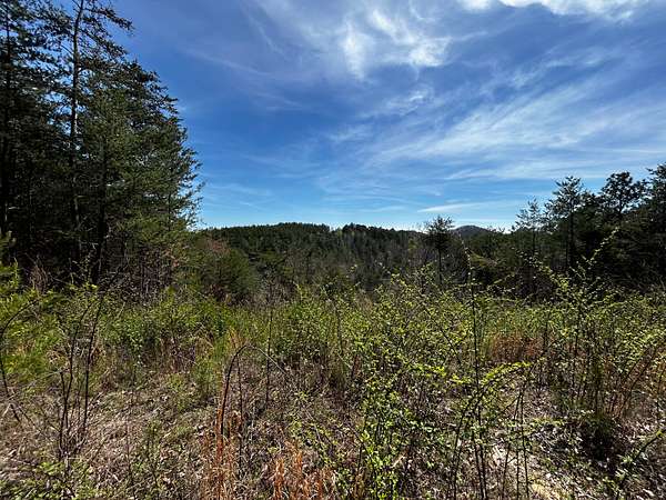 24.8 Acres of Recreational & Residential Land for Sale in McDonald, Tennessee