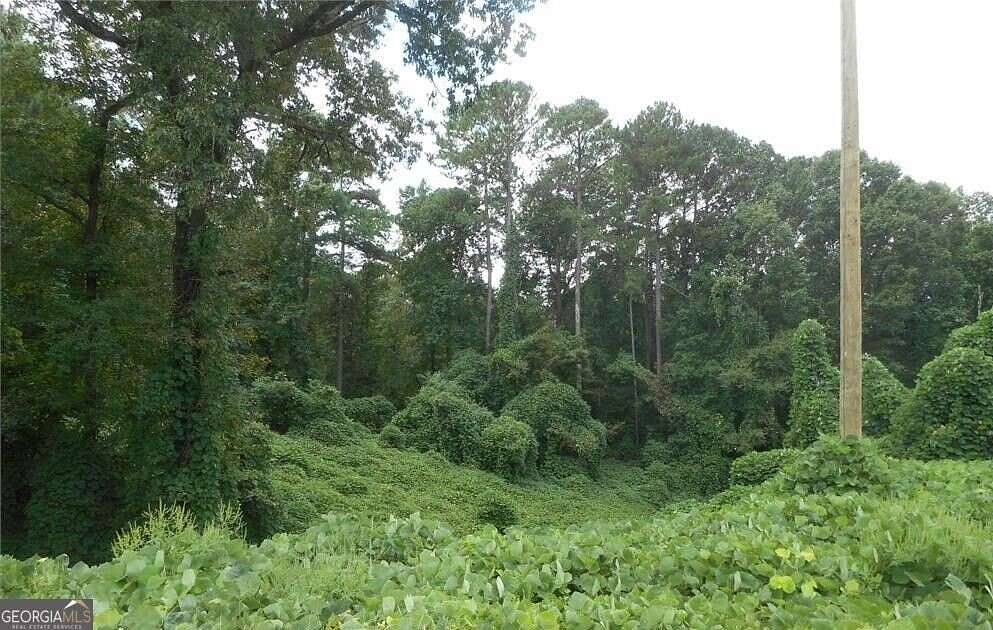 54 Acres of Recreational Land for Sale in Greensboro, Georgia