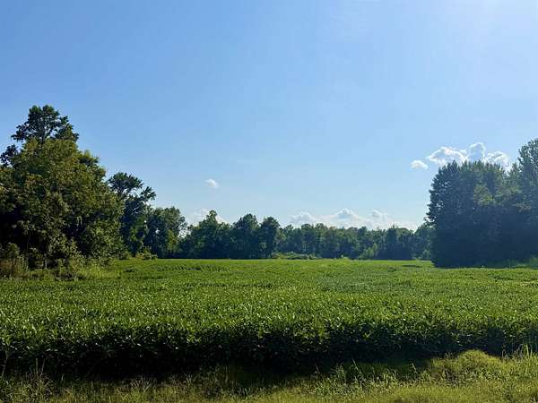 95.8 Acres of Agricultural Land for Sale in Burlison, Tennessee