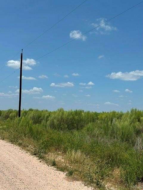10.4 Acres of Recreational & Residential Land for Sale in Edinburg, Texas