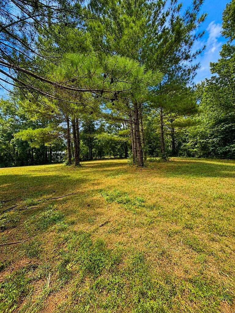 7.3 Acres of Land for Sale in Carriere, Mississippi