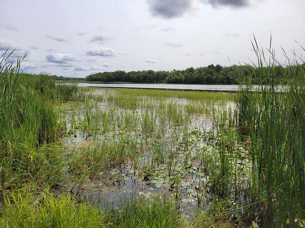 40 Acres of Recreational Land for Sale in Wright, Minnesota