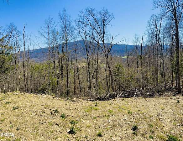 1 Acre of Residential Land for Sale in Sevierville, Tennessee