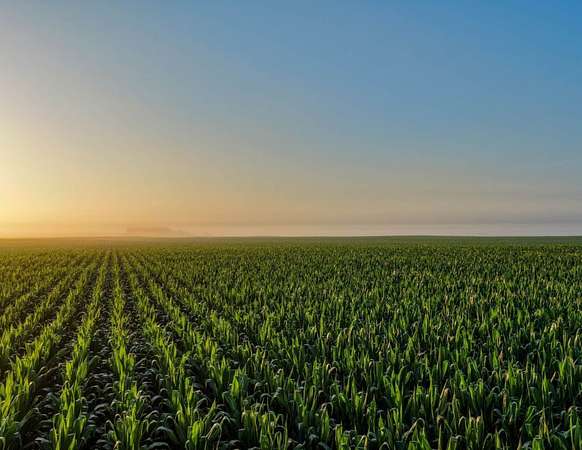 230 Acres of Land for Sale in Scranton, Iowa