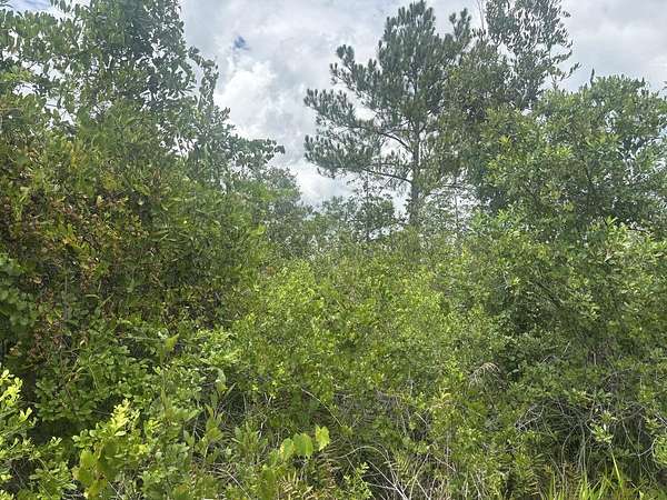 2.67 Acres of Land for Sale in Clermont, Florida