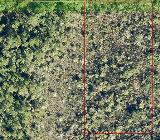 1 Acre of Residential Land for Sale in Clermont, Florida