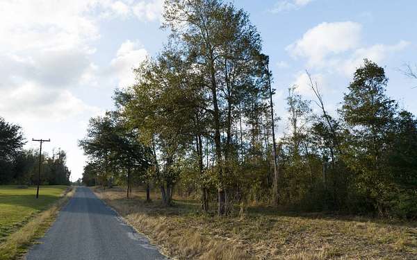 12 Acres of Recreational & Residential Land for Sale in Reeves, Louisiana
