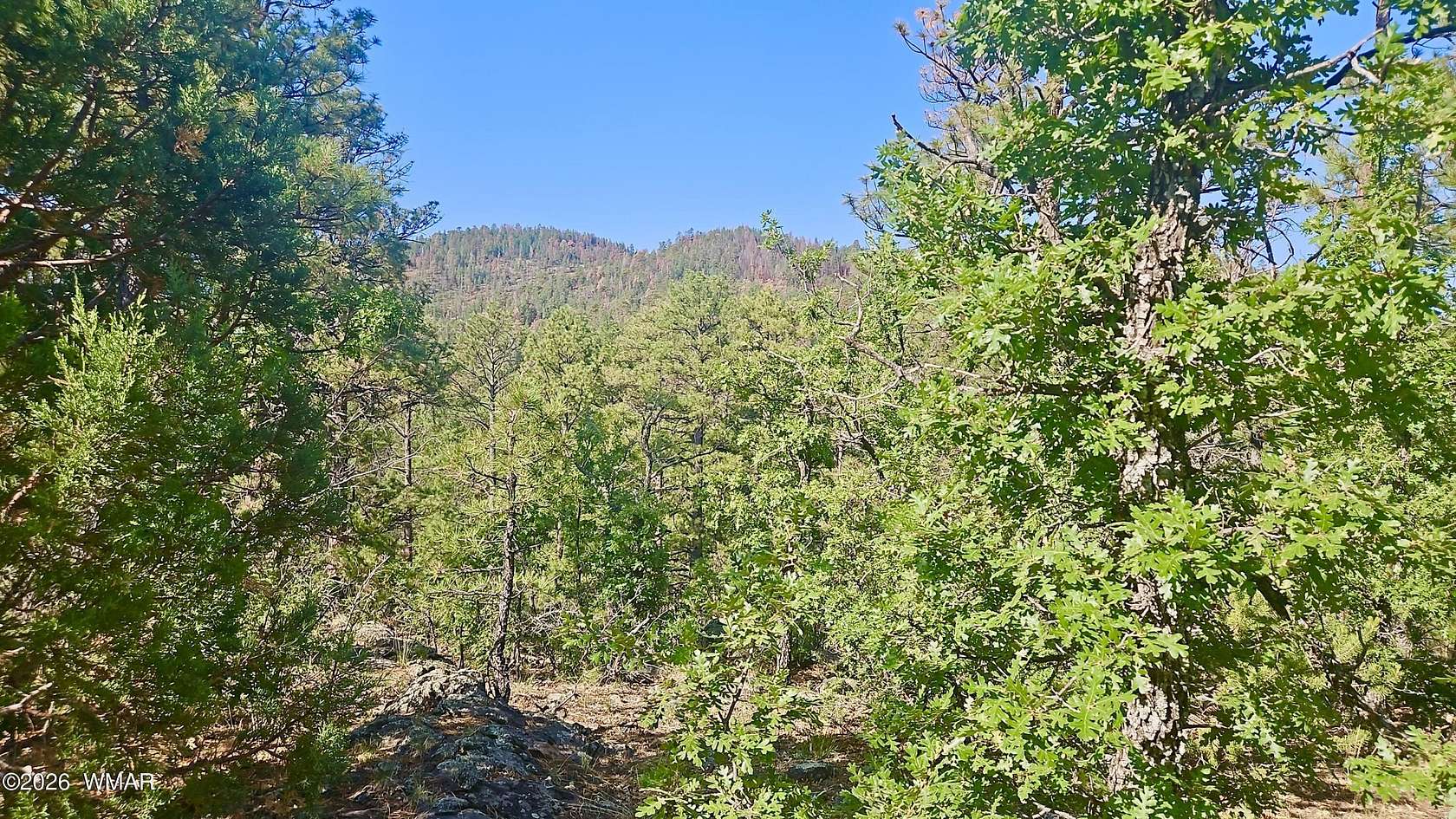 1 Acre of Residential Land for Sale in Vernon, Arizona