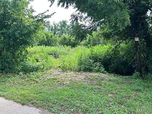 0.5 Acres of Residential Land for Sale in Middlebrook, Missouri