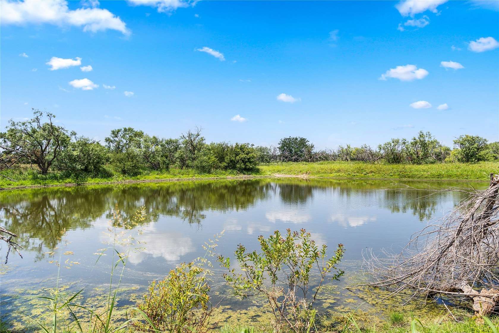 400 Acres of Land for Sale in Clyde, Texas