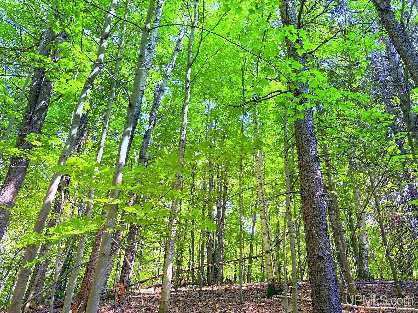3.7 Acres of Residential Land for Sale in Marquette, Michigan