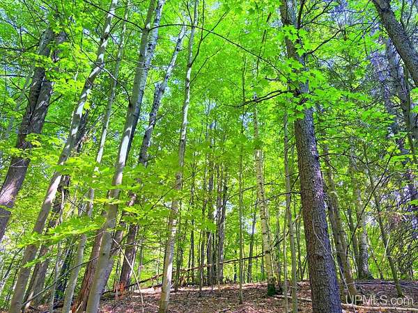 3.7 Acres of Residential Land for Sale in Marquette, Michigan