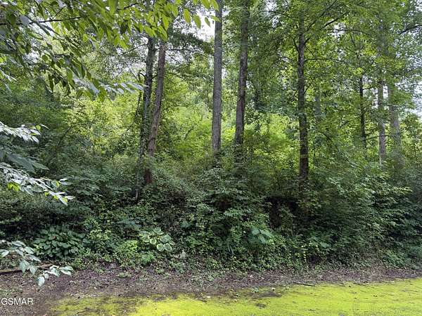 0.23 Acres of Residential Land for Sale in Gatlinburg, Tennessee