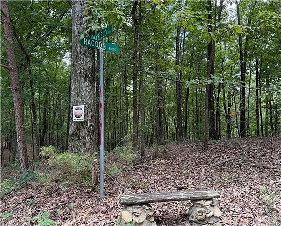 1.38 Acres of Residential Land for Sale in Ranger, Georgia